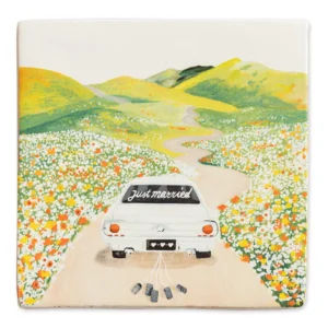 Just married-Nygift